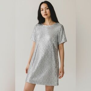 7 For All Mankind Sequin Mini Dress